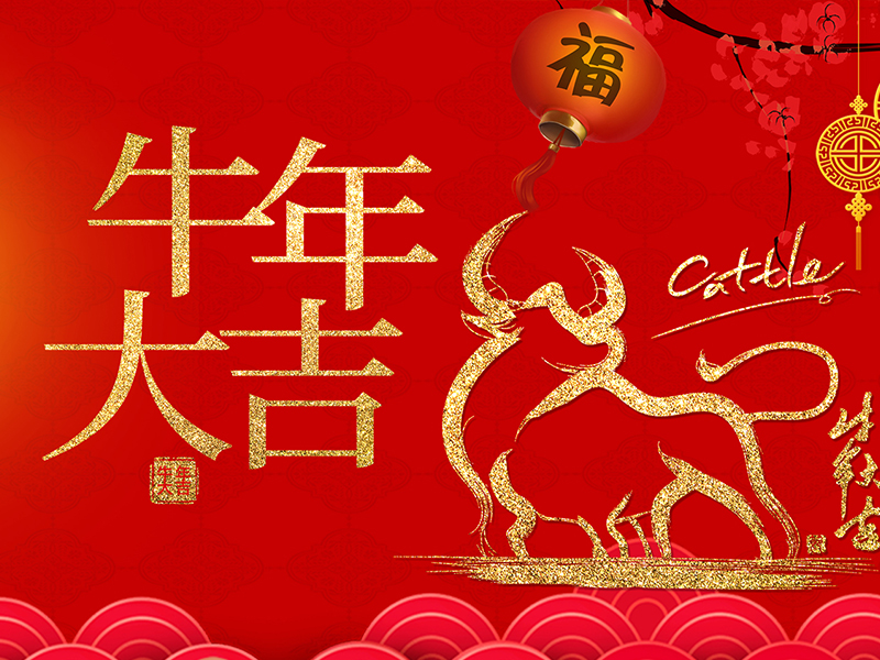 新年快乐! 新年快乐!